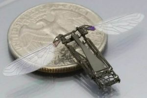 Robo-bugs are here!