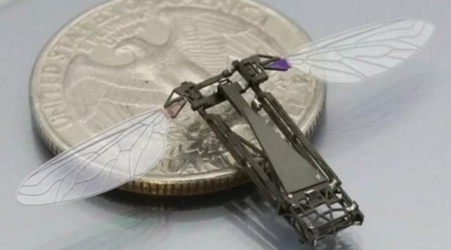 Robo-bugs are here!