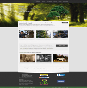 Internet Website Development