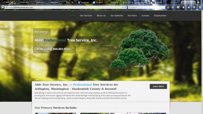 Responsive Website Design