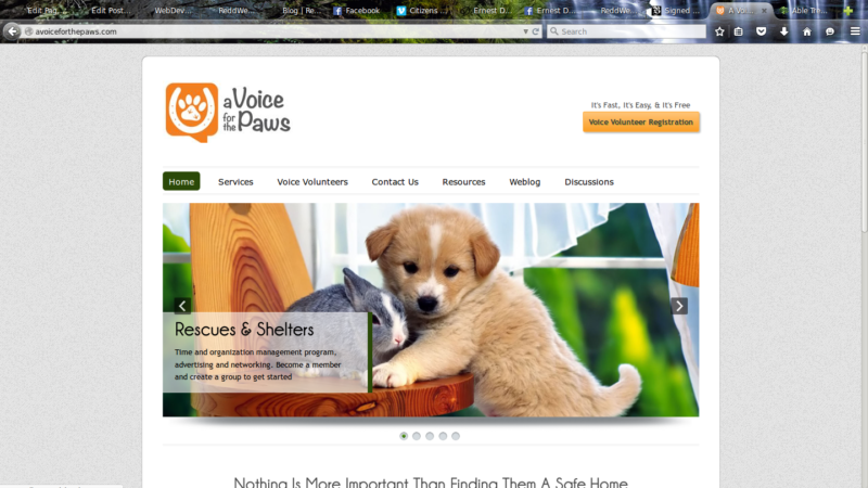 Responsive Website Design