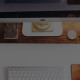 Web Development as an Industry