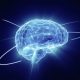 Creative People Have Better Connected Brains