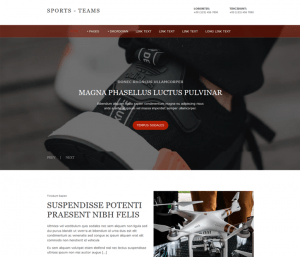 Free Sport Shop Website Template Free Sport Shop Website Template
